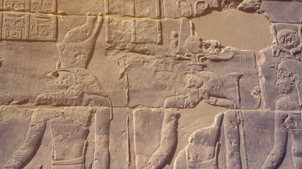 Egypt Philae temple hieroglyphic and god engraved beautiful historic art in Aswan