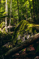 Fototapeta premium Wandern Sie entlang der gurgelnden Ysper, vorbei an mächtigen Granitformationen, Kaskaden und imposanten Wasserfällen. Im oberen Teil des leichten Abstiegsweges beschenkt Sie ein Aussichtspunkt mit ei