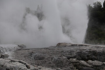 Geyser du parc Whakarewarewa, Nouvelle Zélande