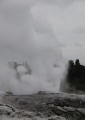 Geyser du parc Whakarewarewa, Nouvelle Zélande