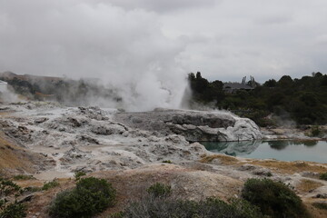 Geyser du parc Whakarewarewa, Nouvelle Zélande