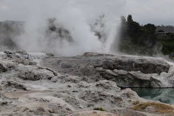 Geyser du parc Whakarewarewa, Nouvelle Zélande