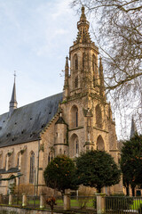 Fototapeta na wymiar Wide angle view at the Schlosskirche in Meisenheim