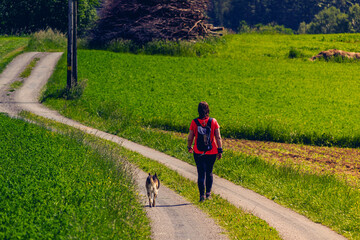 Obraz premium Wandern Sie entlang der gurgelnden Ysper, vorbei an mächtigen Granitformationen, Kaskaden und imposanten Wasserfällen. Im oberen Teil des leichten Abstiegsweges beschenkt Sie ein Aussichtspunkt mit ei