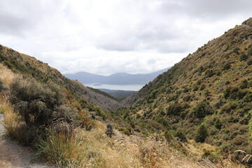 Fototapeta premium Vallée du parc Tongariro, Nouvelle Zélande