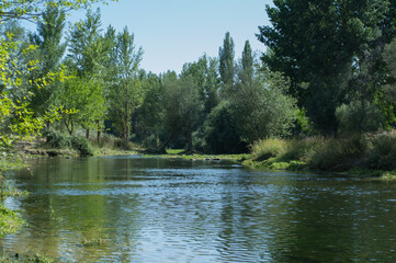 rzeka widok woda zieleń niebo