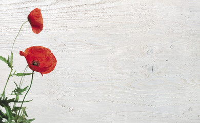 PLANCHE EN BOIS BLANC ET COQUELICOTS