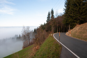 Mysthische Nebelstimmung im herbstlichen Wald am Salzburger Gaisberg