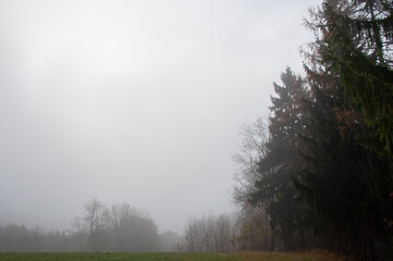 Obraz premium Mysthische Nebelstimmung im herbstlichen Wald am Salzburger Gaisberg