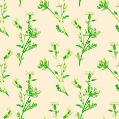 Field flowers watercolor illustration, seamless pattern.