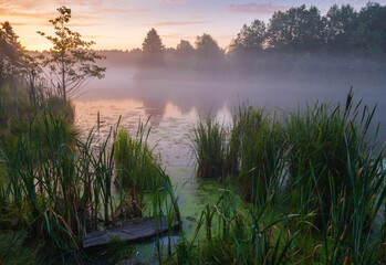 morning on the lake