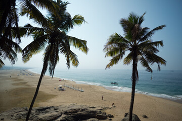 Obraz premium Palm and Ocean coast with big waves in India