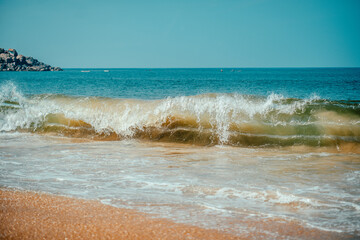 Palm and Ocean coast with big waves in India