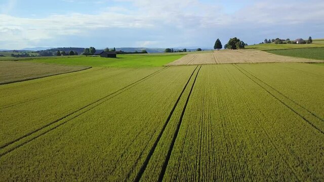 Vue a&eacute;rienne par drone au-dessus de la campagne ensoleill&eacute;e et de ses champs de culture dans le canton de Vaud en Suisse romande le vol est calme avec un vol &agrave; basse altitude