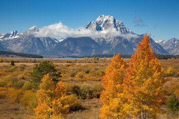 Grand Teton
