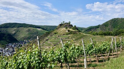 Naklejka premium Weinberge an der Ahr, Weinanbau, Kulturlandschaft