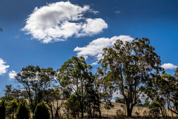 Obraz premium Agriculture landscape in the Grampians national park in Victoria, Australia at a cloudy day in summer.