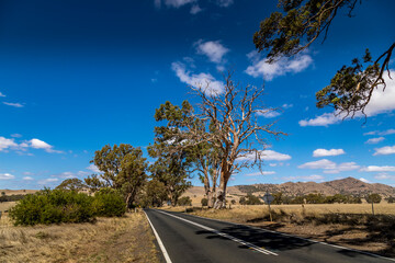 A lonesome road leading through the Grampians national park in Victoria, Australia at a cloudy day in summer.