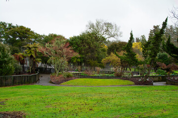 Rainy winter day at Kuirau Park. Wet trees and fenced paths