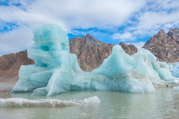 Kongsfjorden, Spitsbergen West coast, Svalbard archipelago, Norway