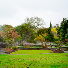 Rainy winter day at Kuirau Park. Steam is rising from natural hot pools hidden behind colourful trees