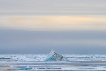 Arctic Ocean, 81° North and 26° East, Svalbard archipelago, Norway, Europe