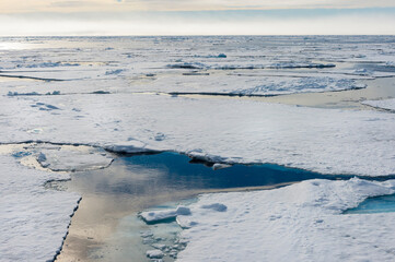 Pack Ice at 81° North, Arctic Ocean, Spitsbergen Island, Svalbard archipelago, Norway, Europe