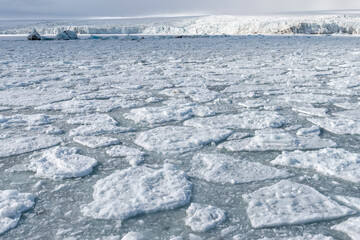 Palanderbukta Bay, Pack ice pattern, Gustav Adolf Land, Nordaustlandet, Svalbard archipelago, Norway © MC Photos