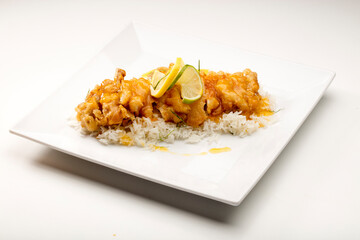 Pollo  al curry con verduras y arroz. Chicken curry with vegetables and rice.