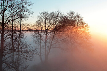 Morning with thick fog over the river. Dawn on a summer morning.