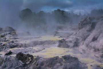 Geothermal area in Rotorua, New Zealand