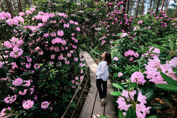 Woman walking in Rhododendrons Park. It is one of the most popular and beautiful places in...
