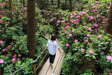 Woman walking in Rhododendrons Park. It is one of the most popular and beautiful places in Helsinki, Finland.