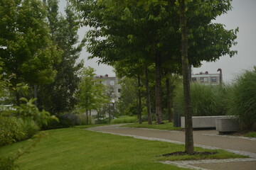 walkway through the park in the middle of the housing estate with a granite bench