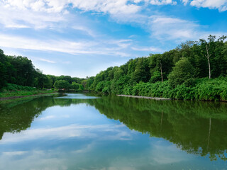 池に反射する空。日本・埼玉県