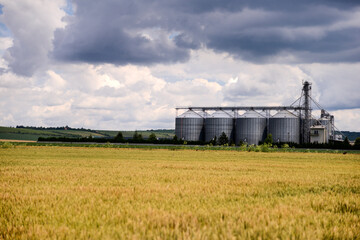 Fototapeta na wymiar Cereal field with silos in the distance