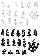 Black set eucaliptus leaves branch. Floristic design elements for floristics. Hand drawn illustration. Greeting card.