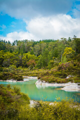 Obraz premium Turquoise waters of geothermal lake surrounded by low trees and shrubbery