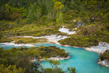 Cyan waters of geothermal lake surrounded by low trees and shrubbery