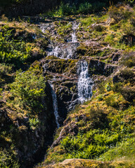 autour du lac d'Alfeld