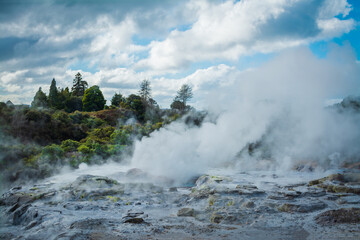 Steam rising above geyser field in geothermal area near Rotorua
