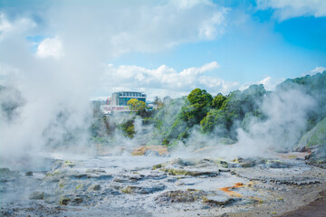 Fototapeta premium Steam rising above hot rocks in geothermal area near Rotorua