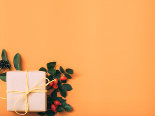 Holiday present. Congratulations. Gift box. Rose hip decoration Orange background