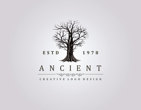 Abstract tree logo design with vintage style