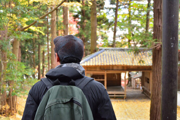 日本の秋のに紅葉を見る男性の後ろ姿