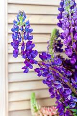 Naklejka premium Delicate lupine flowers close-up on a wooden background. Background for graphic works. Very bright floral background.