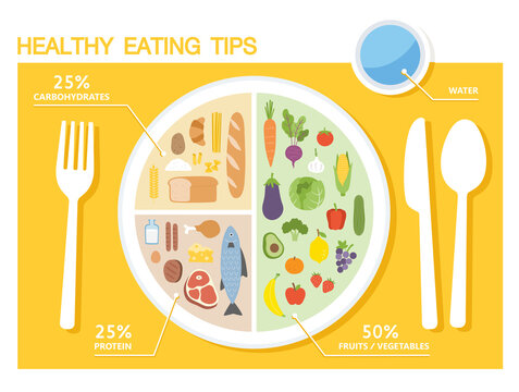 Healthy Eating Plate Vector & Photo (Free Trial)