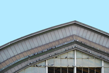 Part of facade Hamburg train station, Germany. Hamburg hbf, pigeons on the windows, blue sky
