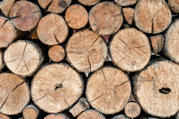 many wooden logs trunks close up