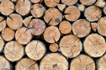 many wooden logs trunks close up